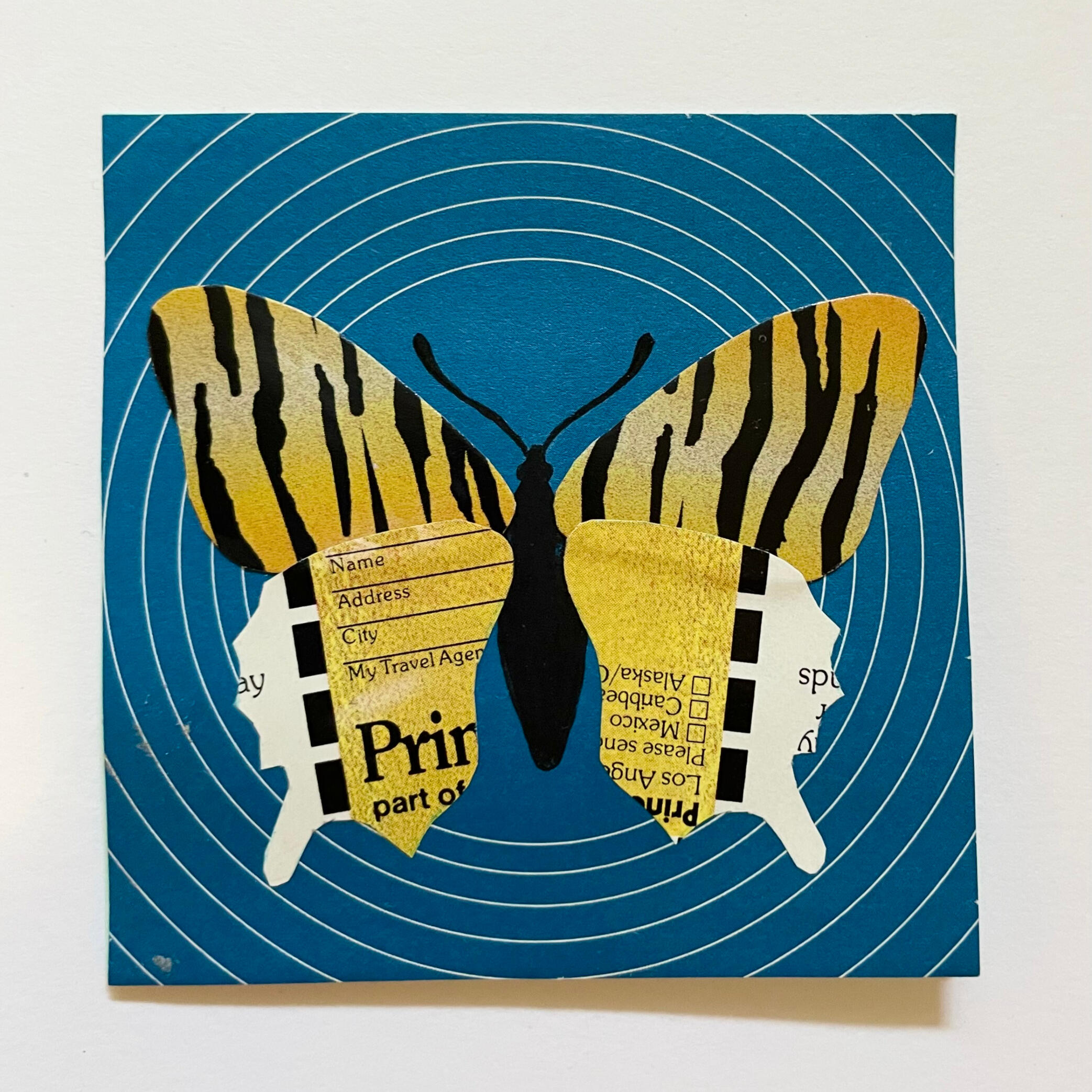 Mixed Media